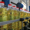 Sunflower Oil