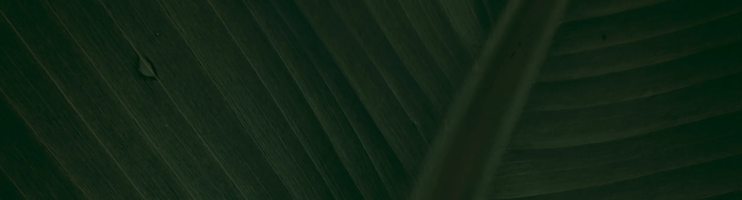 A4 Carbonless Copy Paper