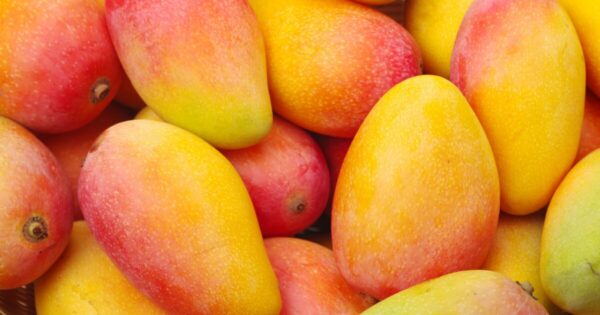Mangoes