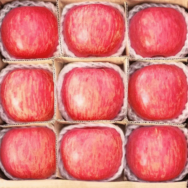 Fresh Apples