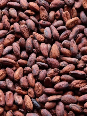 Cocoa Beans