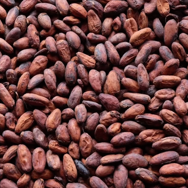 Cocoa Beans