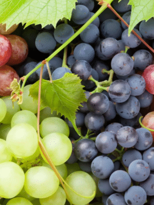 Grapes