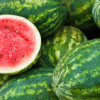 Fresh Watermelons