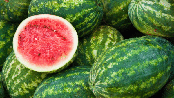 Fresh Watermelons