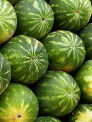 Fresh Watermelons